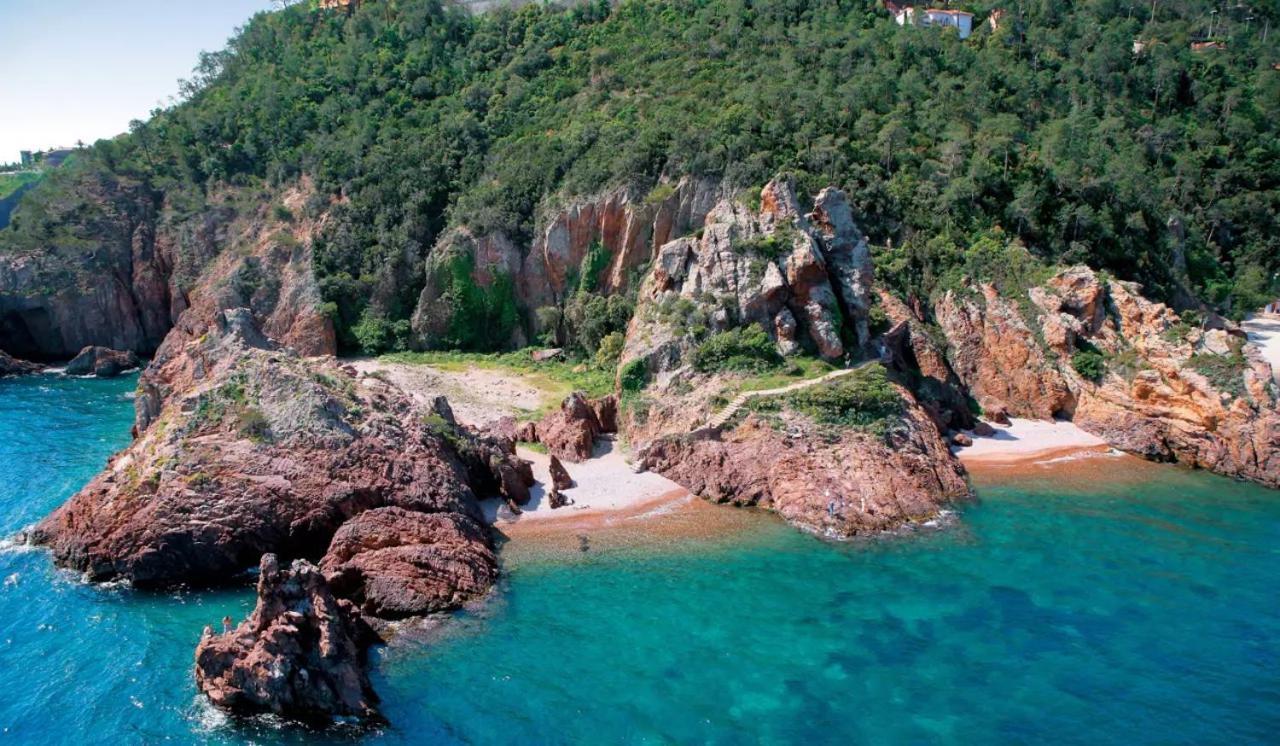 Rez De Jardin Au Calme Et Proche Mer Mandelieu La Napoule Ngoại thất bức ảnh
